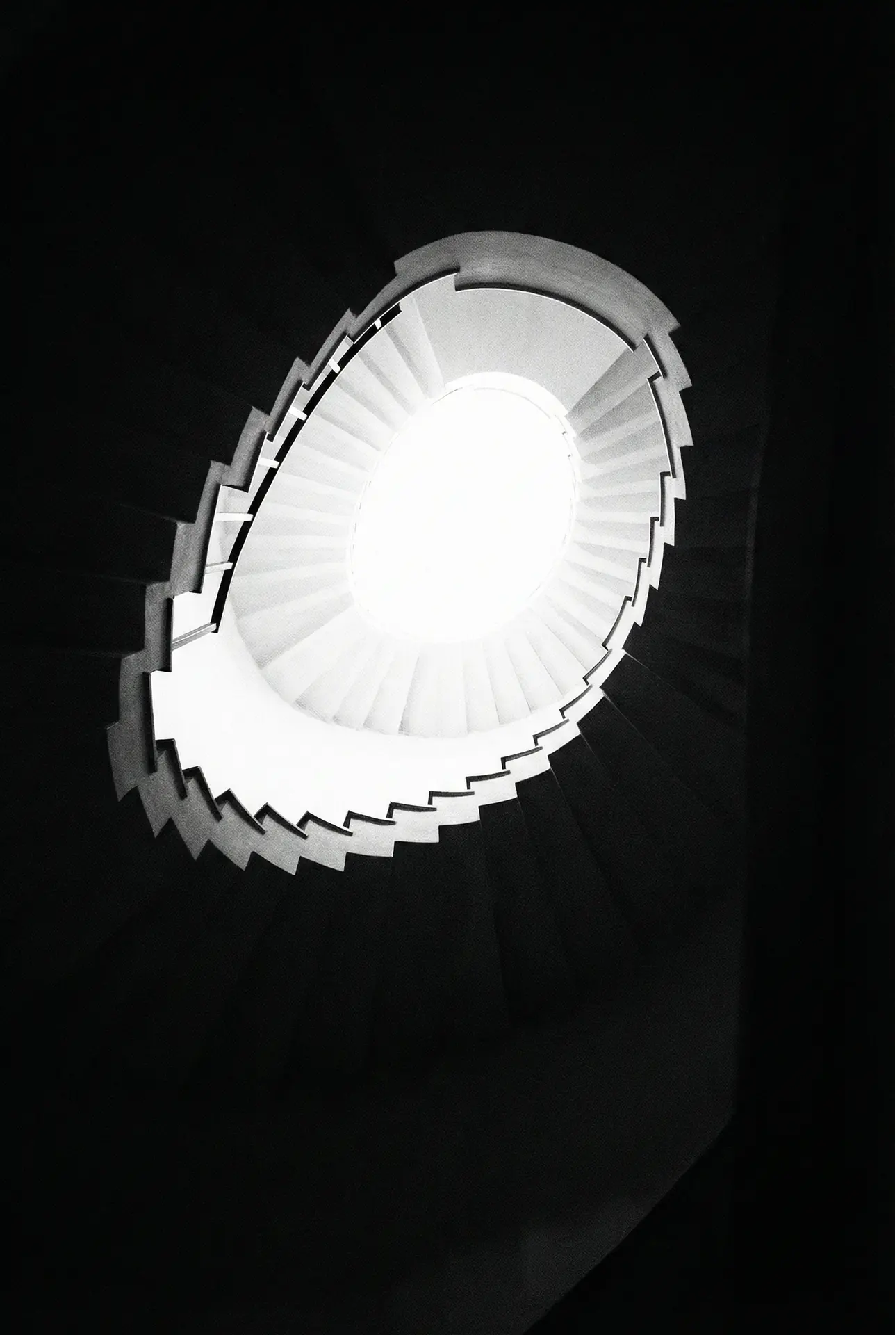 独立电影 展映作品海报：螺旋楼梯